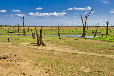 Udawalawe National Park